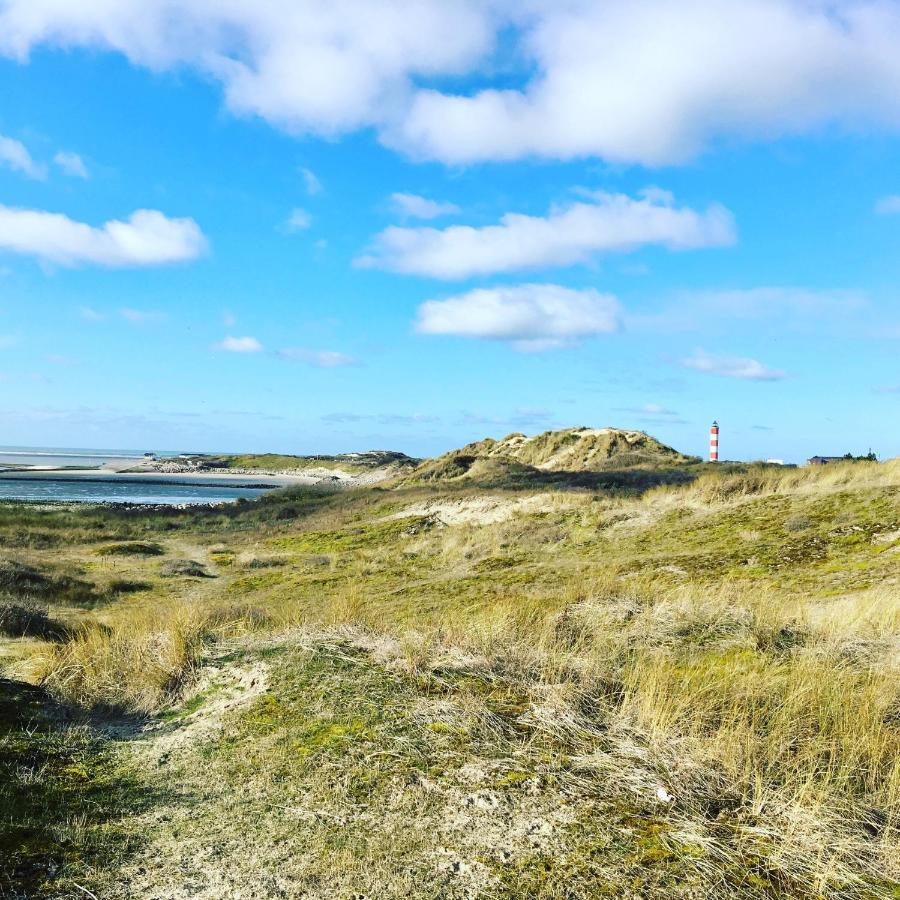 PADDLE - Vue Mer - 100M PLAGE Berck Eksteriør bilde