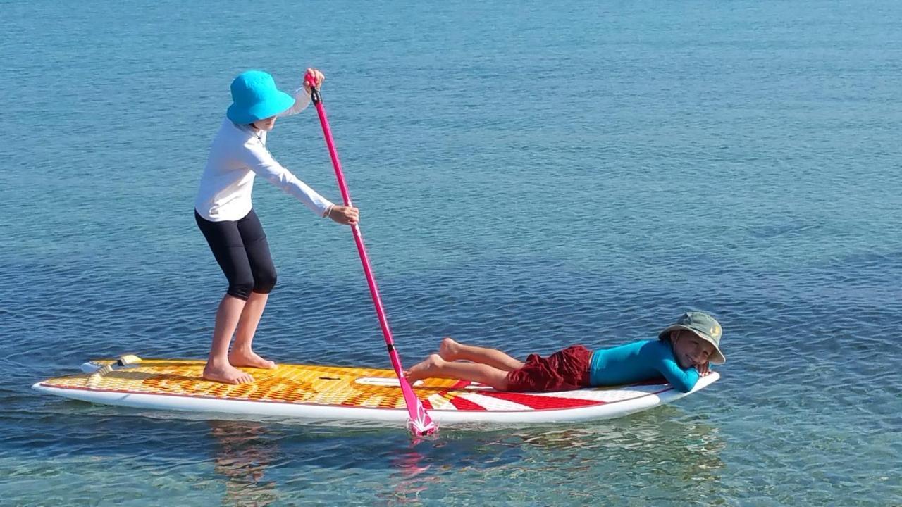 PADDLE - Vue Mer - 100M PLAGE Berck Eksteriør bilde