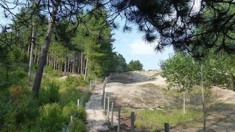 PADDLE - Vue Mer - 100M PLAGE Berck Eksteriør bilde