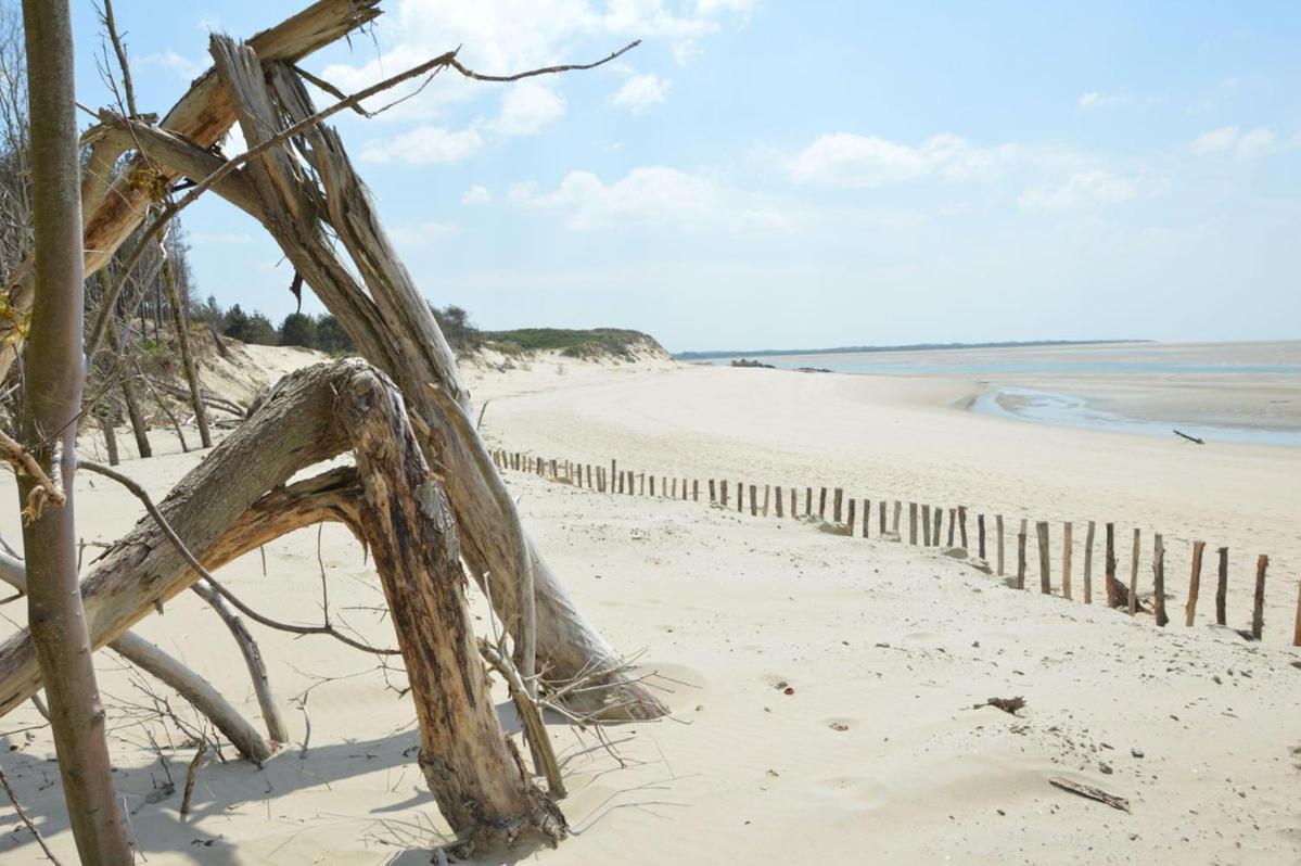 PADDLE - Vue Mer - 100M PLAGE Berck Eksteriør bilde